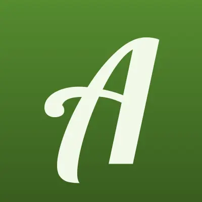 АльФин, бухгалтерское агентство, лого-визитка