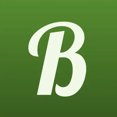 Баланс Плюс, бухгалтерское агентство, лого-визитка