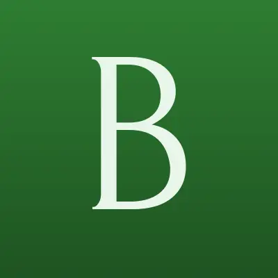 Бизнес Инвест, лого-визитка
