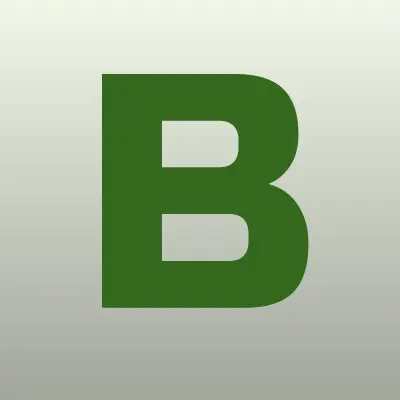 Budleya, магазин, лого-визитка