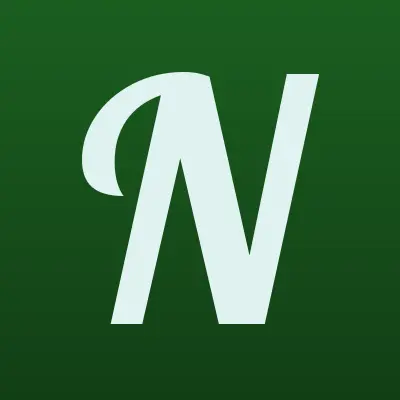 Nps, терминал, лого-визитка